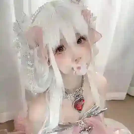 海花集车库