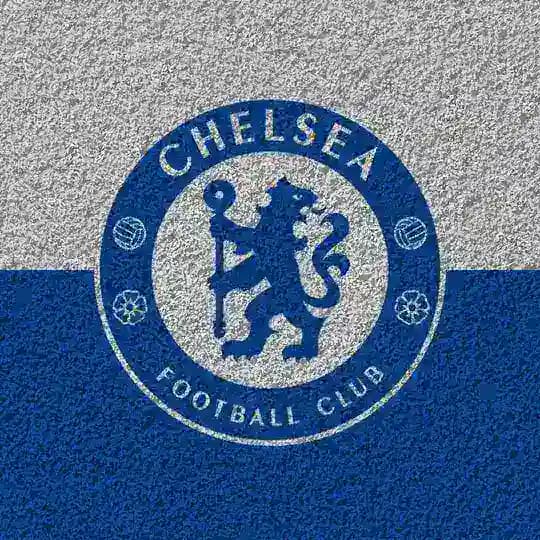 CHELSI - LIVE Profile