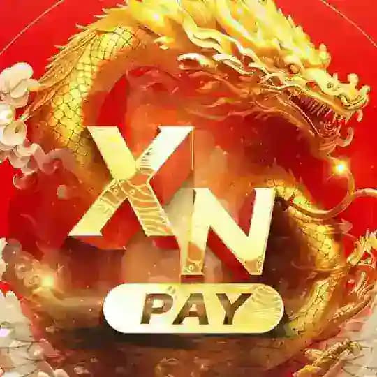 XN-PAY中印合作支付