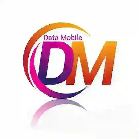 خدمات کامپیوتری ومبایل دیتا