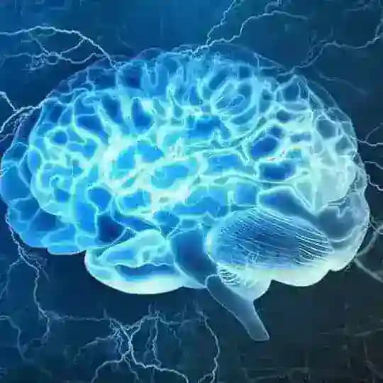 CNS and special senses Profile