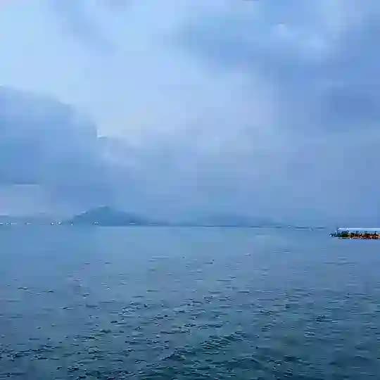 收量，给手子们一个家