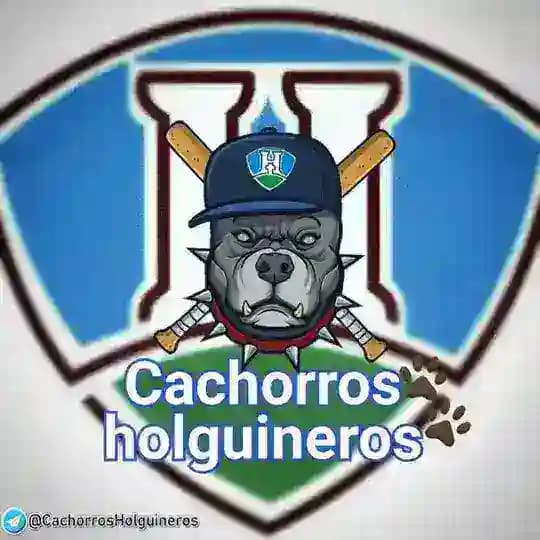 ⚾ CACHORROS HOLGUINEROS ⚾ Profile
