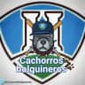 ⚾ CACHORROS HOLGUINEROS ⚾