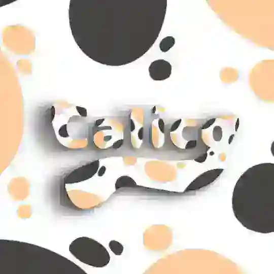 Calico | Перевод Куки Рана