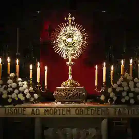 𝘊𝘢𝘵𝘩𝘰𝘭𝘪𝘤 𝘈𝘦𝘴𝘵𝘩𝘦𝘵𝘪𝘤 Profile