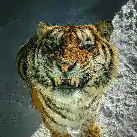 চানাচুর Update 🙂