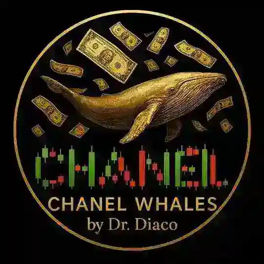 𝐂𝐇𝐀𝐍𝐄𝐋 𝐖𝐇𝐀𝐋𝐄𝐒 🐋