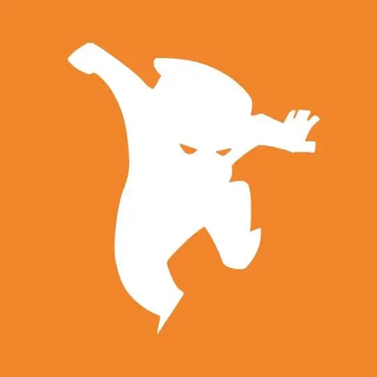 C-Ninja