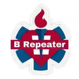 TSL - Hatzolah - B Repeater Profile