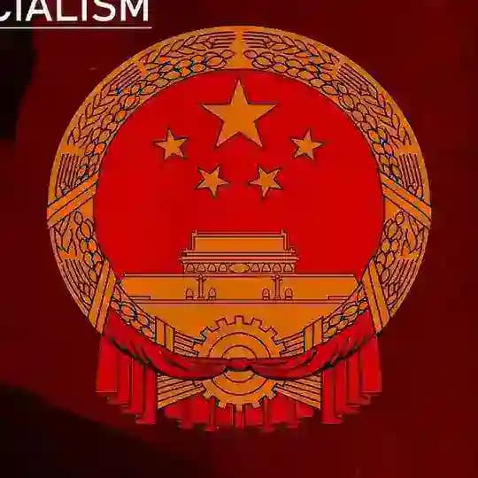 Socialism with Chinese Characteristics
