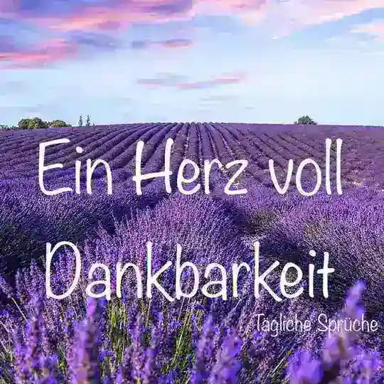 Tägliche Sprüche