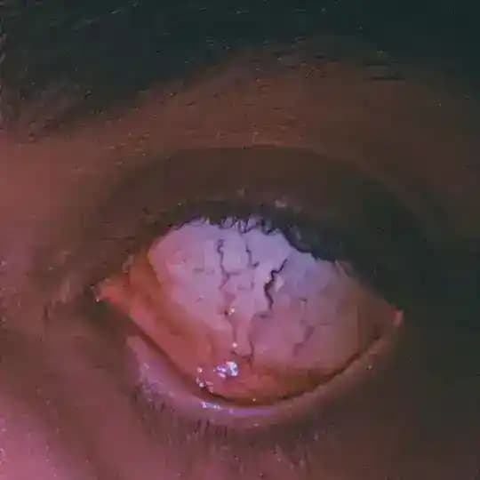 𝘾𝘪𝘺𝘢𝘯𝘰𝘳𝘦 Profile