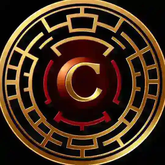 Coin Wise