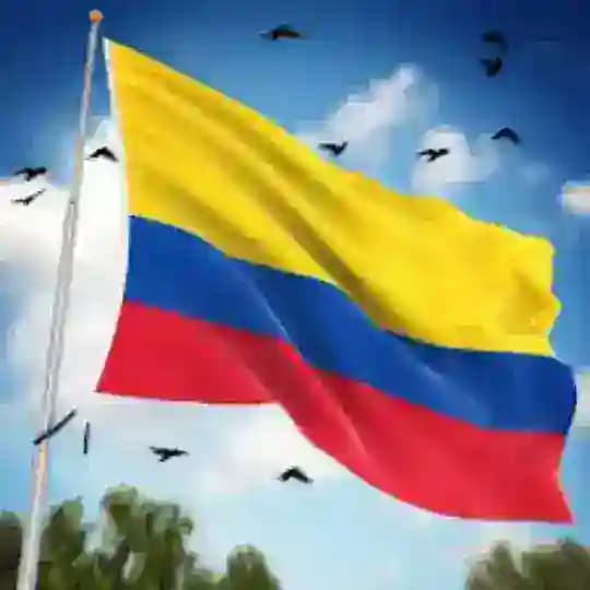 🇨🇴Colombia