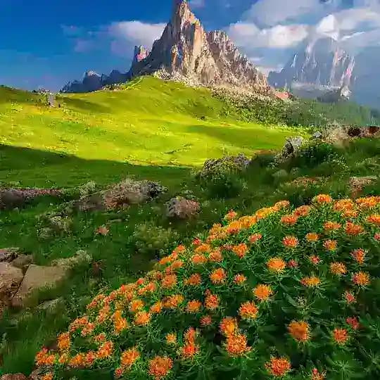 Gente a Colori Profile