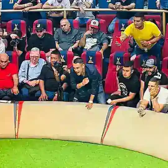 Gallos Santander