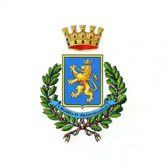 Comune di Carlentini Profile