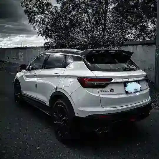 جيلي كولراي