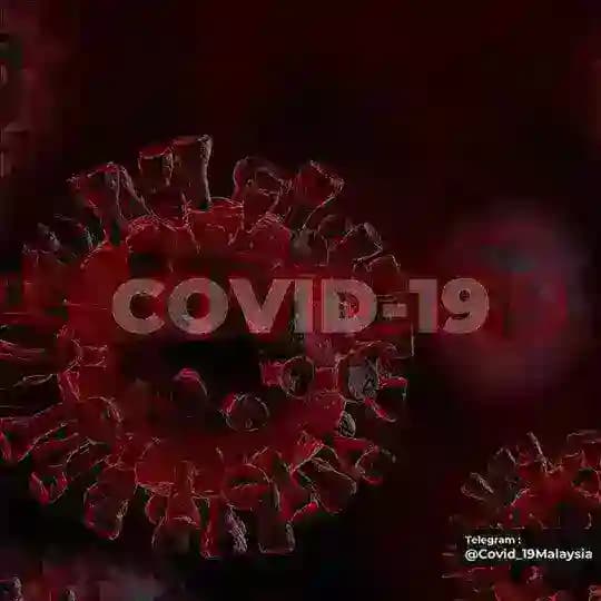 COVID-19 MALAYSIA / INFO SEMASA 🇲🇾🇵🇸