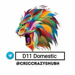 D11 Domestic Profile