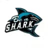 Be A Shark🦈 News