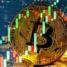 Crypto King
