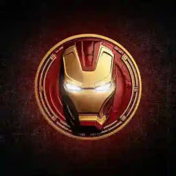 CRYPTO IRON MAN ANN Profile