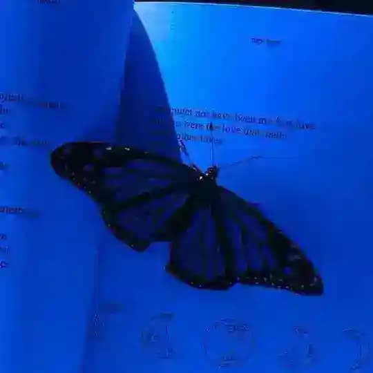 𓏺ビラル 🫧 لِـ بِيـبَـا