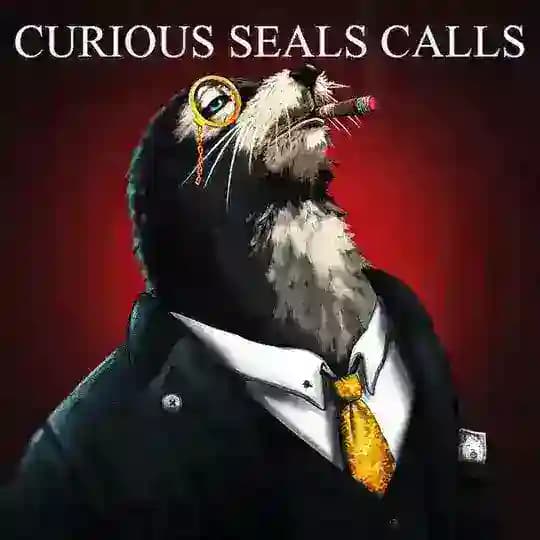 CURIOUS SEALS CALLS π£π