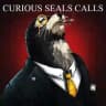 CURIOUS SEALS CALLS 📣📊