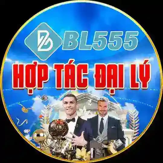BL555 - HỢP TÁC ĐẠI LÝ
