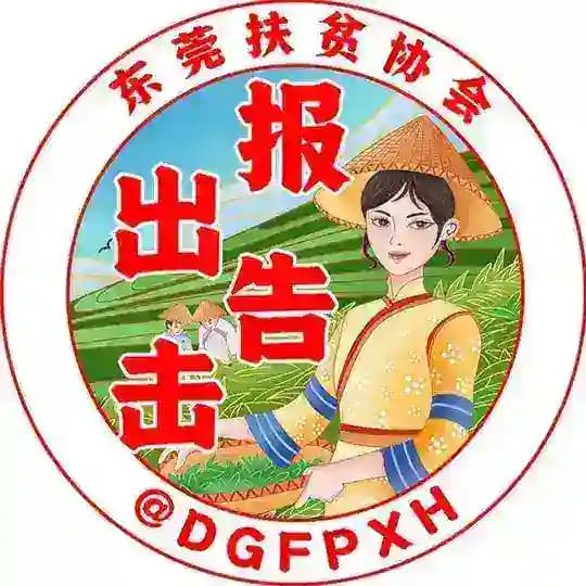 东莞出击报告