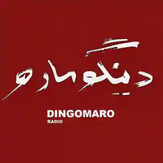 DINGOMARO