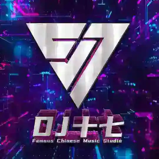 东南亚DJ音乐精品私人订制🎶