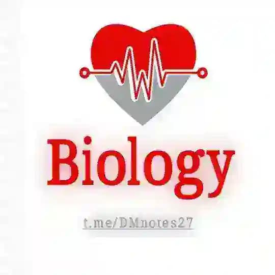 Biology notes ( 2027 ) π€β¨
