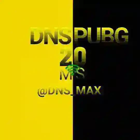 DNS - Wiregad