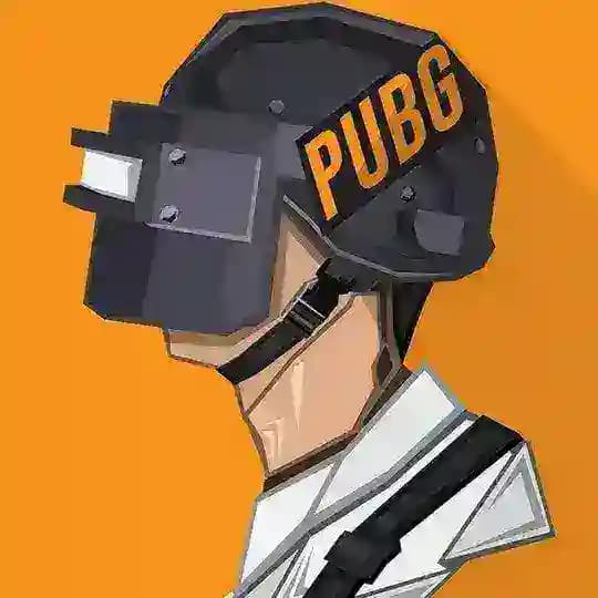 دی ان اس پابجی | DNS PUBG