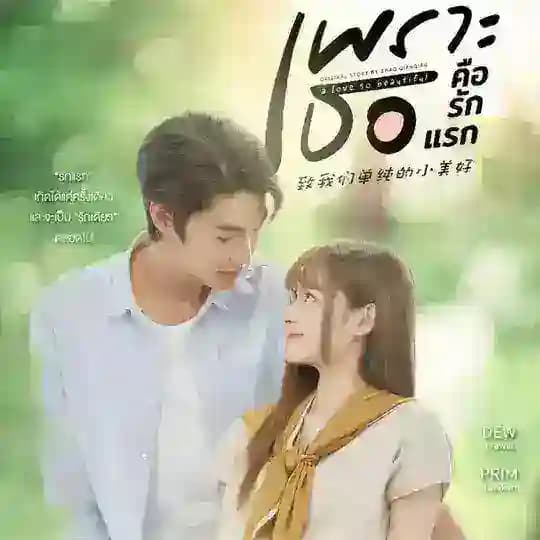 A LOVE SO BEAUTIFUL TEAM SENJA