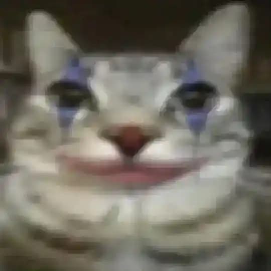 反馈频道