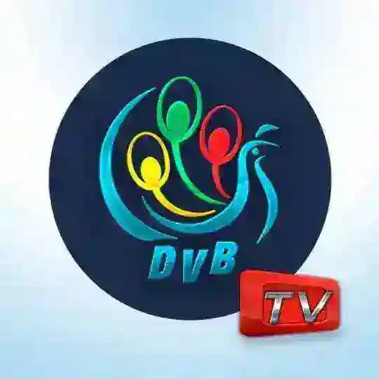 DVB TV News Profile