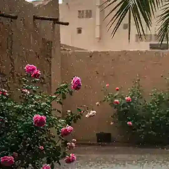 حَسنة 🤍.