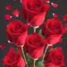 💘Dareen--------jacel💘