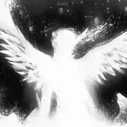 Dark.Angel³⁶⁰⁺
