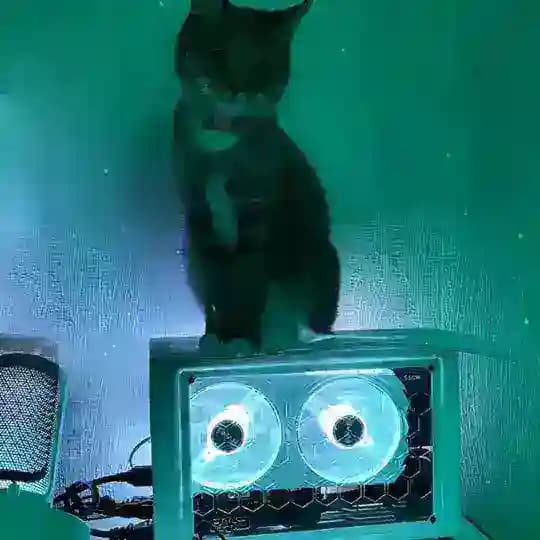 DeX Computers