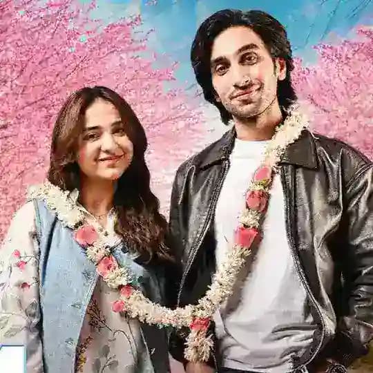 Dekh Zara Pyar Se Pakistani Drama Profile