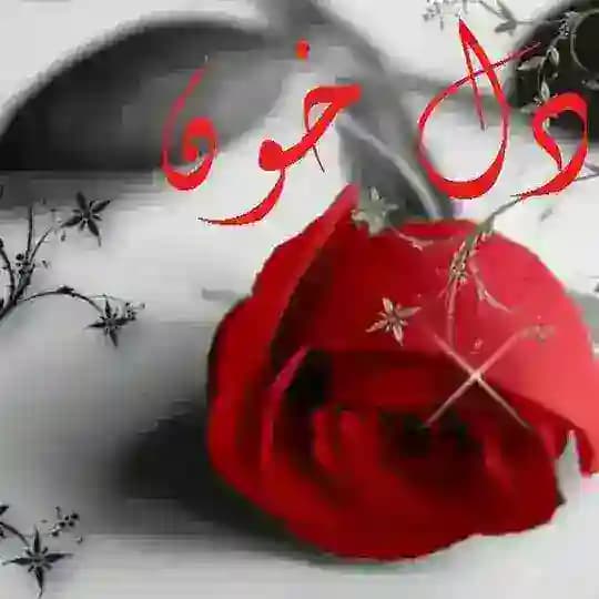 💔️دل خون️💔 Profile