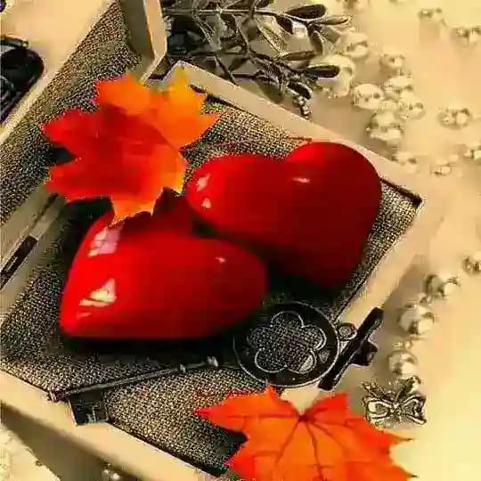 دلارام موزیک༊⃟♥️࿐