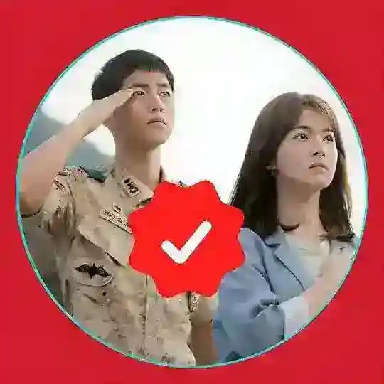 Descendants of the Sun [ Hindi ]