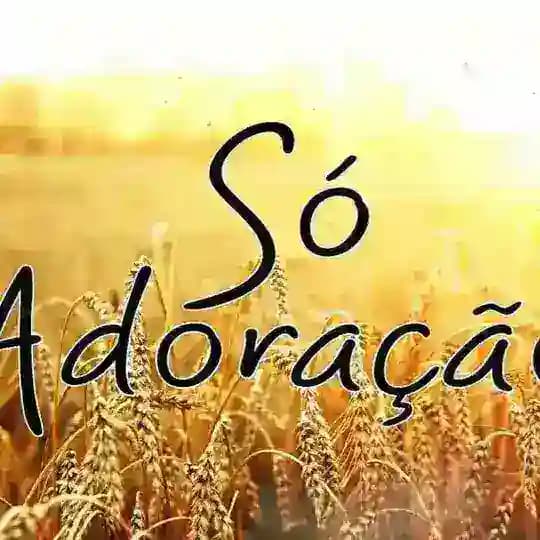 Só louvores 🎤🎧📀🎼🎹 Profile